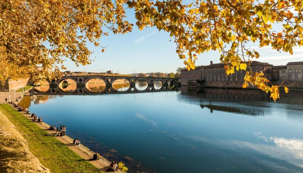 Apartamento Moderne Renove Centre Toulouse